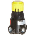 1/8" 2-125 PSI Miniature Regulators - Airtek